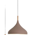 Industrial Pendant Chandelier Light
