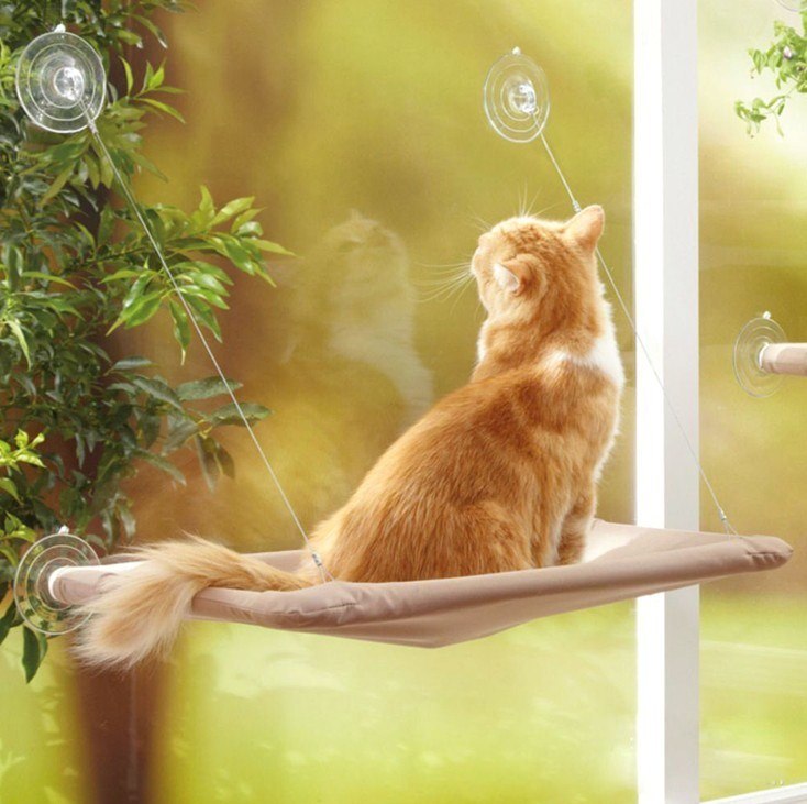 Cat Window Hammock Bed