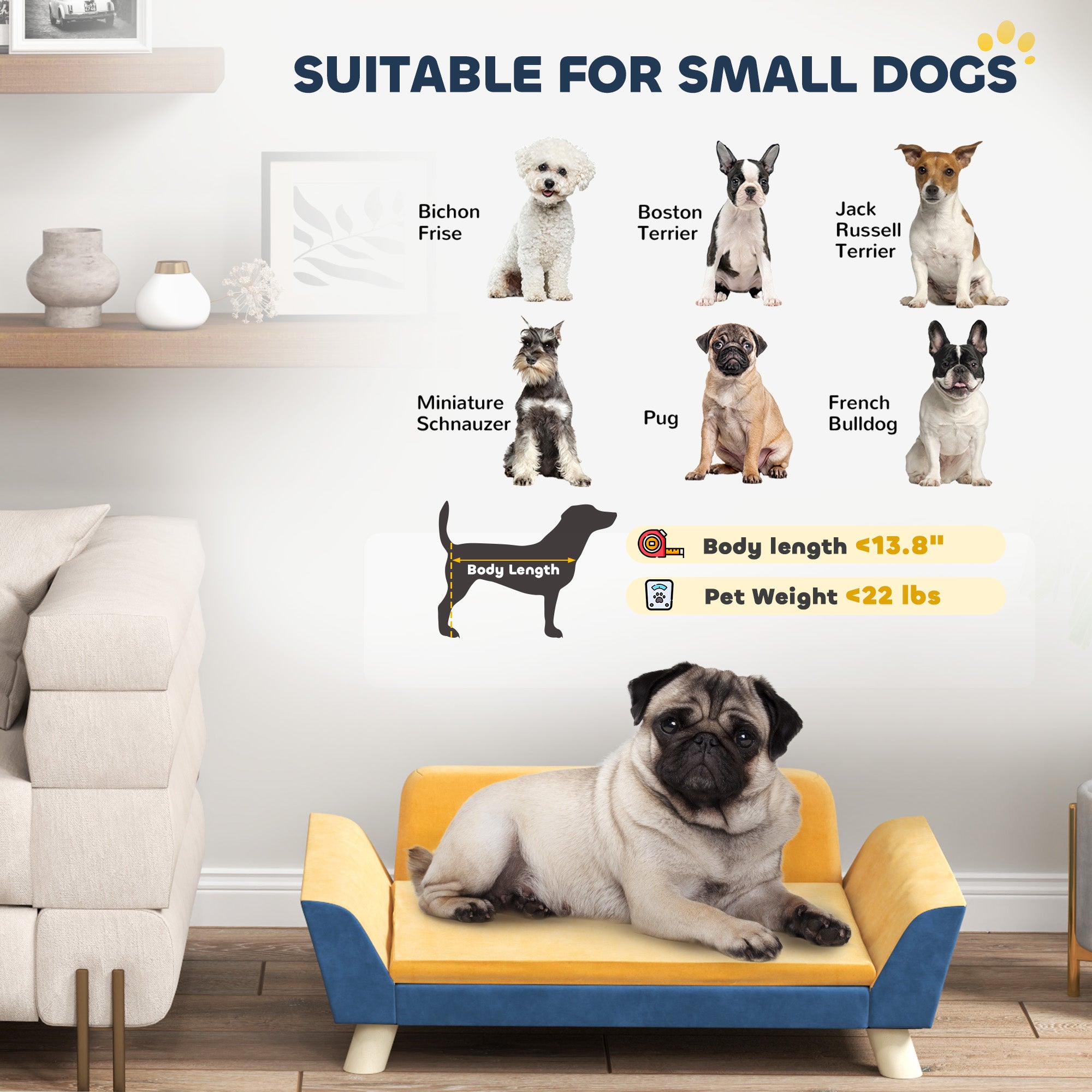 Small Dog Sofa Bed