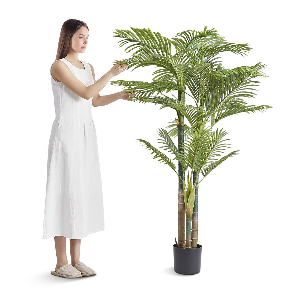 6.5FT Gold Cane Palm