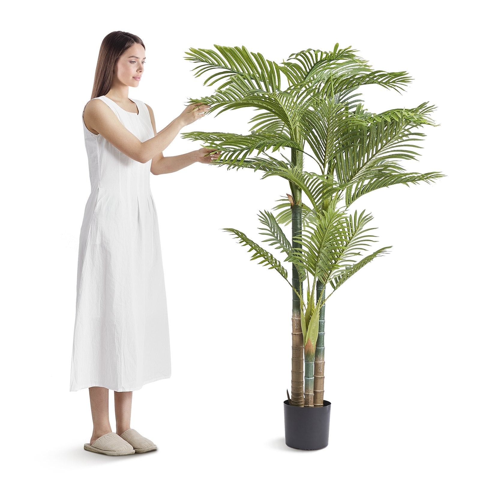 6.5FT Gold Cane Palm