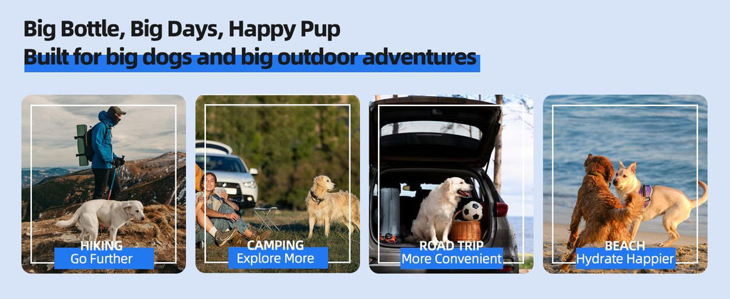 Portable Dog Travel Water Bowl