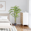 6.5FT Gold Cane Palm