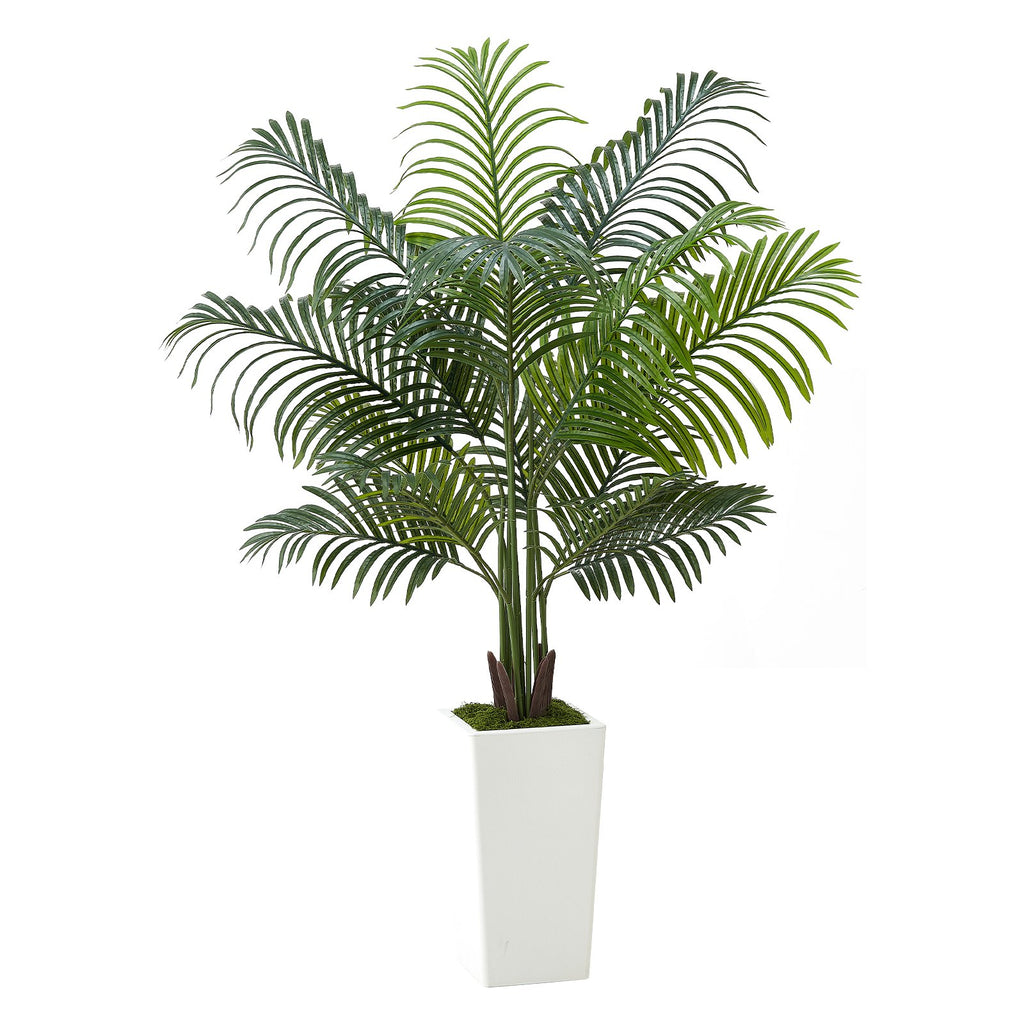 5FT Areca Palm Tree