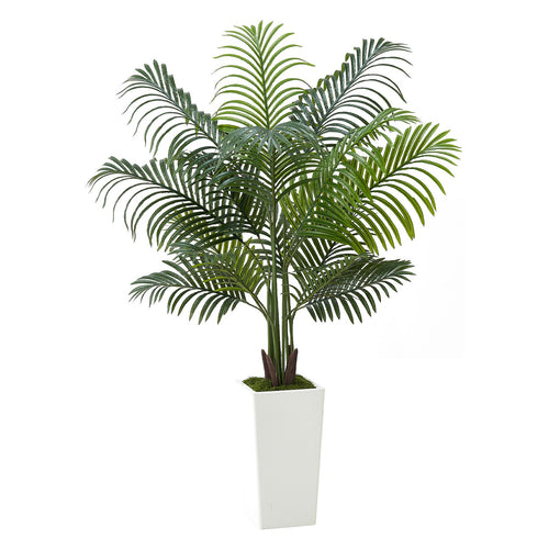 5FT Areca Palm Tree