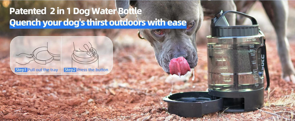 Portable Dog Travel Water Bowl